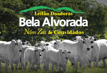 LEILÃO DOADORAS BELA ALVORADA NELORE ZAN & CONVIDADOS